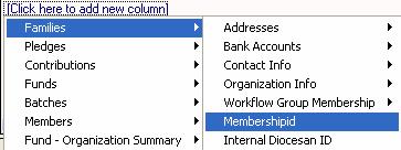 24 Create Family Workgroup Use your Parish IQ query to create a static workgroup that contains every family in your query results.