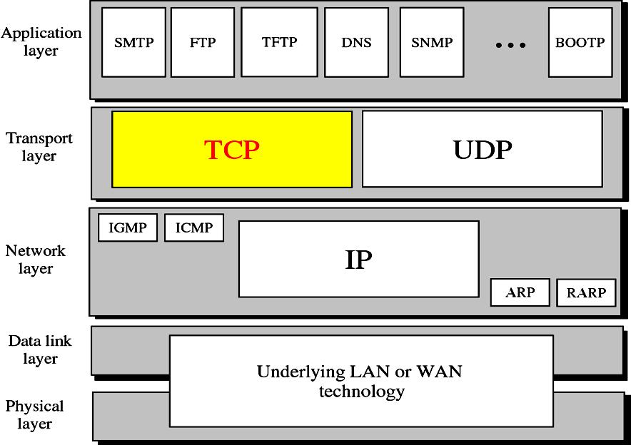 TCP/IP: A protocol is a collection of rules for formatting, ordering, and error-checking data sent across a network.