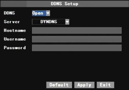 At the bottom of the NETWORK SETUP window there is an option to setup a DDNS service of the DVR shown as Picture 5-10.