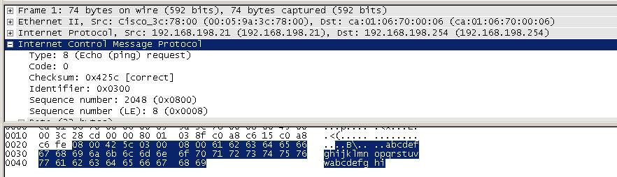The Wireshark window, packet detail, and packet contents panes, should look something like the