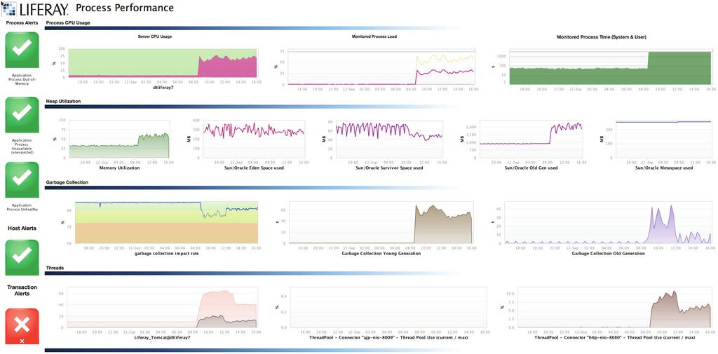 Liferay Process Monitoring Not every problem is related to code. In fact, many problems are simply a result of a poorly tuned JVM.