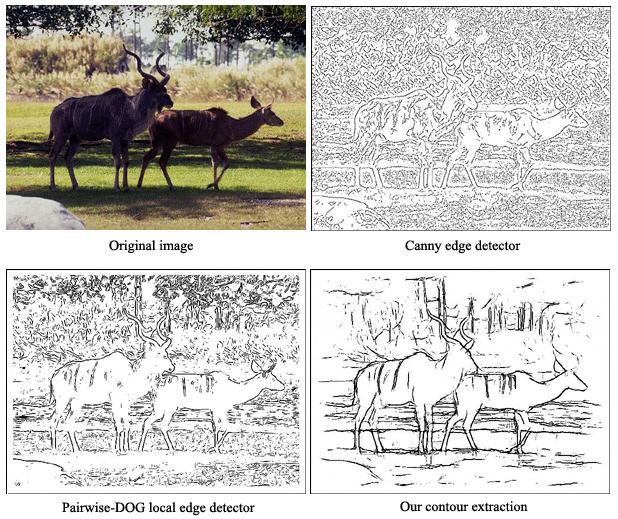 8 combination of contour representation and a semi-local appearance has significantly improved the performance of object detection. Figure 2.2 shows the example of detection based on contour.