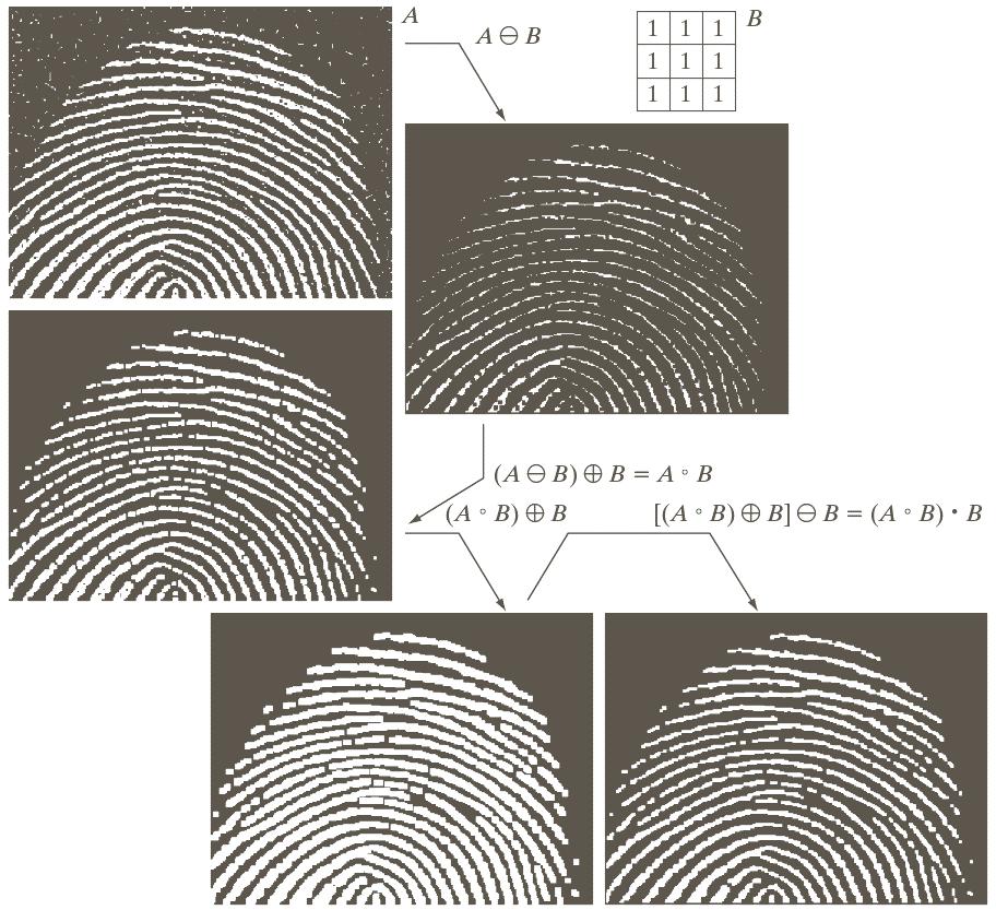 Morphological Image Processing Remove noise in fingerprints: 1.