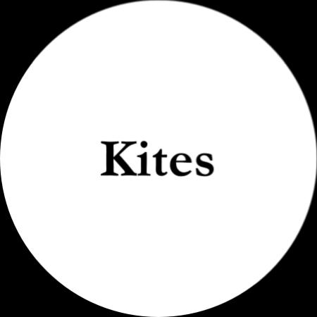 Find the perimeter of the kite E + E = E + E = 6 +