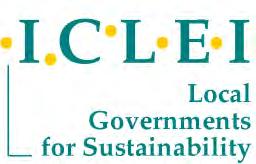 Contact Maryke van Staden Manager, ICLEI s Low Carbon City Program Director of the Bonn Center for Local Climate Action and Reporitng