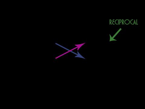 the number Examples: the reciprocal of 2