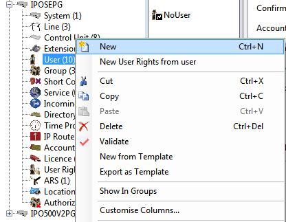 5.3. Create a new User From the left window, right click on User and select