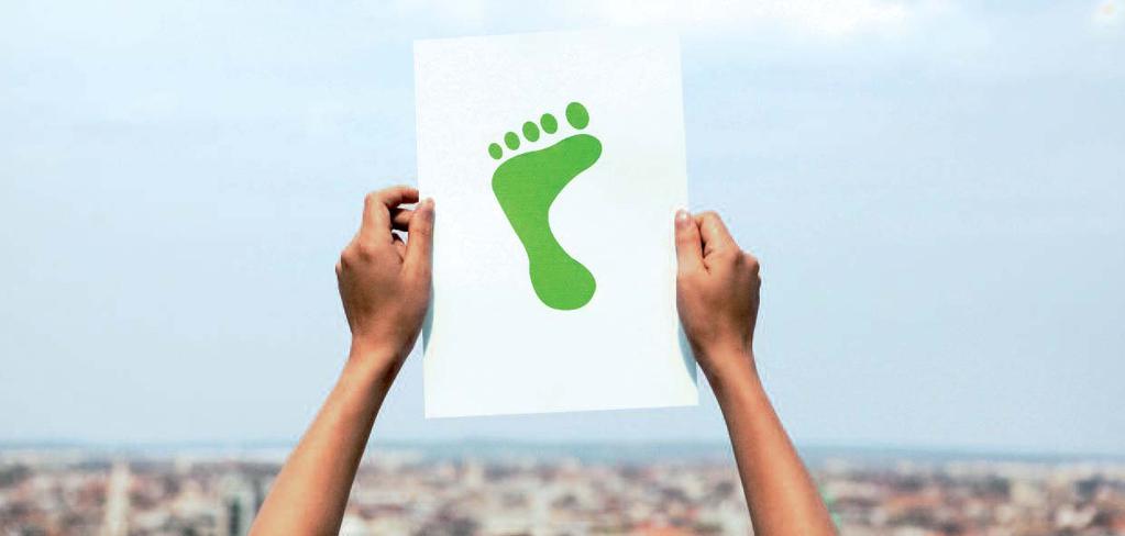 Carbon footprint: your first step to carbon neutrality. Business partners, analysts, investors, the media and consumers judge companies by the sustainability of their operations.