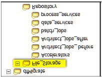 The File_Storage subfolder corresponds to the file storage area in a DataFlux Data Management Studio repository.