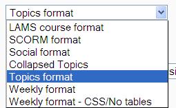 The FORMAT option is where you can determine how you want your course to appear.