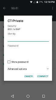 credentials prior to connection. To display advanced options, click on the available option tab.