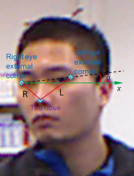Face pose estimation Based on the tracked facial features we can estimate the yaw angle of the face pose denoted as γ and the roll angle of the face pose denoted as α.