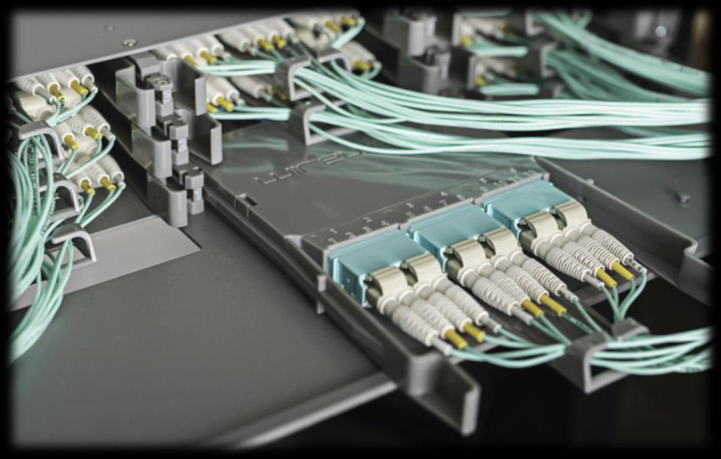 Next Step Solution Next Step Cable Management: - 144F Mini-Distribution Cable & 1.