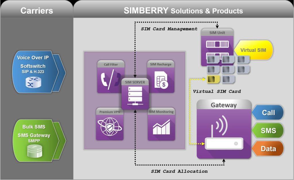 HOSTBERRY 1- Hosted Sim Server The best of vgate in the cloud. It can work only with Teles/SIMBERRY hardware (Gateways & Sim Unit).