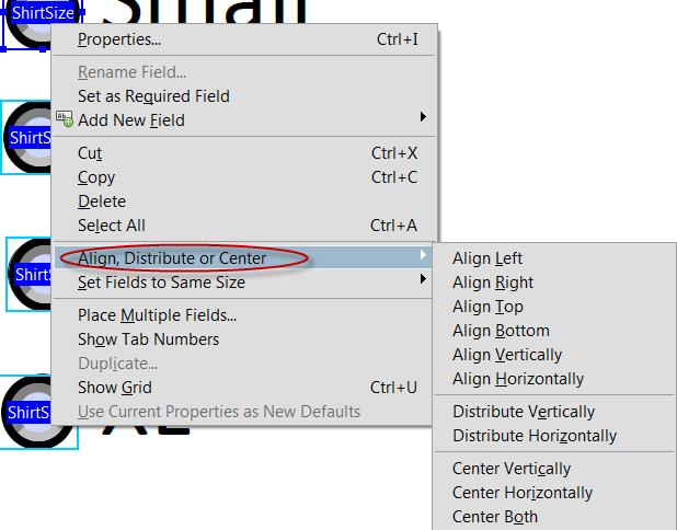 Setting Fields to the Same Size If you have fields that all have to be the same size, you may create one field, get it to the size that you need, then copy and paste that same button.