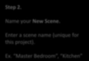 Step 2. Name your New Scene.