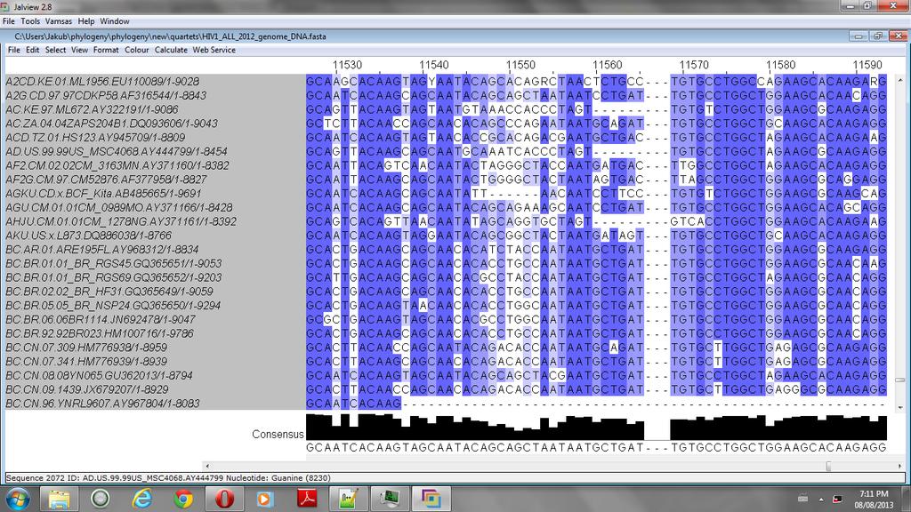 Figure 1.2: A fragment of a large HIV sequence alignment from the Los Alamos HIV Sequence database [2]. Colours indicate percentage identity within columns.