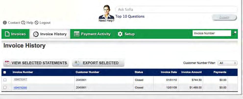 Check the box next to the invoice you wish to view, then click the View Selected Statements button. To export invoice information into a Microsoft Excel spreadsheet, click the Export Selected button.