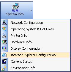 CHAPTER 4 - System Information 4.7 How to view Internet Explorer Configuration reports?