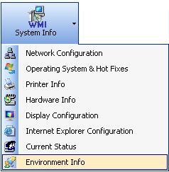CHAPTER 4 - System Information 4.9 How to view Environment Info reports? Click on Environment Information available under each tab as listed below.