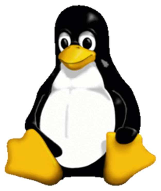 Linux at the Command