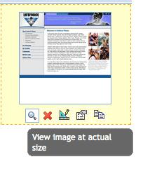Select the "View Image at Actual Size" option to view a full size version of the image. Stock Photos The CMS 4.