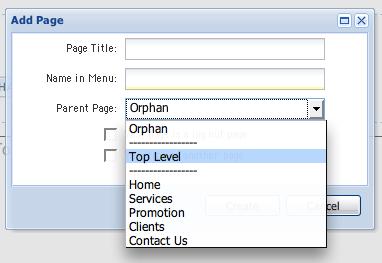 Enter a page title (what will appear in the title bar of the visitor s browser), the name in menu (how this page should appear in your site s menu), and whether or not the page should appear in the