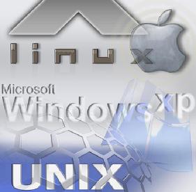 Brands and Versions of Operating Systems Various brands of operating systems Microsoft Windows Apple Mac OS UNIX and Linux Several versions or distributions Windows 2000 Professional
