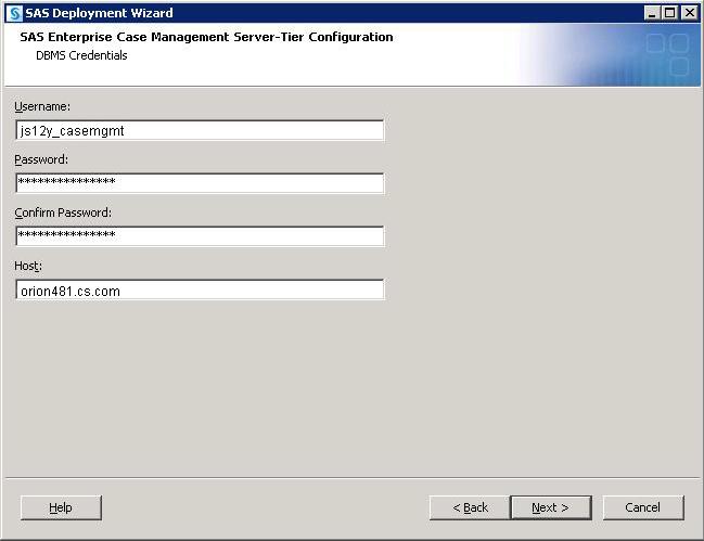 SAS Enterprise Case Management: Server Tier 11 Display 3.