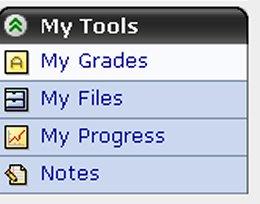 You can also access File Manager, Selective Release, and Grading Forms from the Designer Tools The Teach tab contains Instructor Tools.