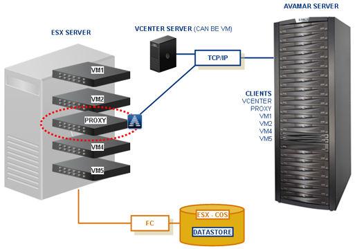 Introduction Data protection overview Avamar offers two basic ways to protect data residing on VMware virtual machines: Image backup Guest backup Image backup Image backup uses VMware vstorage API