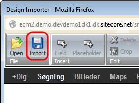 For information about editing page elements in the Design Importer, see the Design