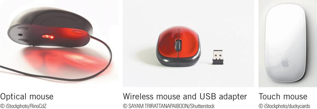 Using Input Devices (continued) Mice A mouse is a pointing device that fits
