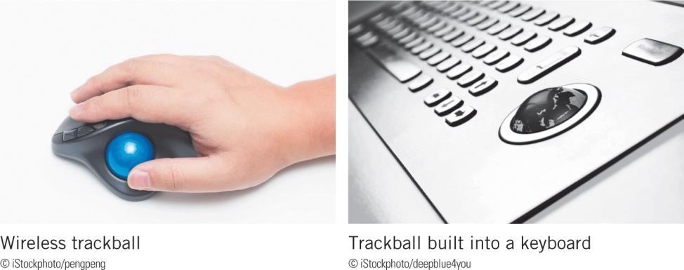 Using Input Devices (continued) Track Balls A trackball is a pointing device that works like a mouse with a ball on