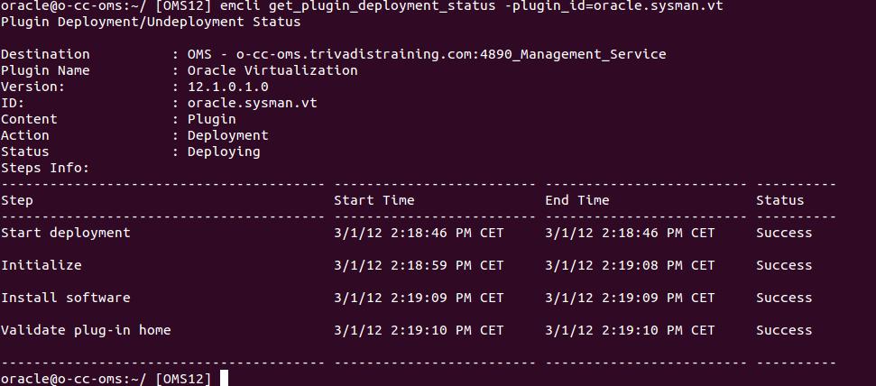 Installation of OVM plugin: Server Reboot of OMS During install, show status on console