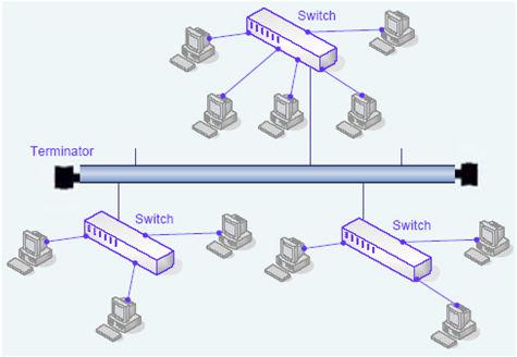 (e.g. FDDI) Star (hub or switch) Wireless LANs