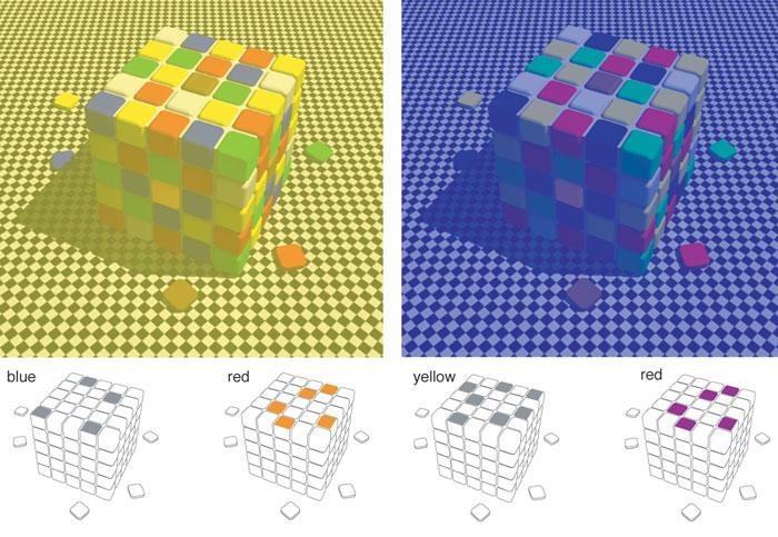 Color Cube Illusion D. Purves, R. Beau Lotto, S.