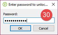 Enter the password you configured during