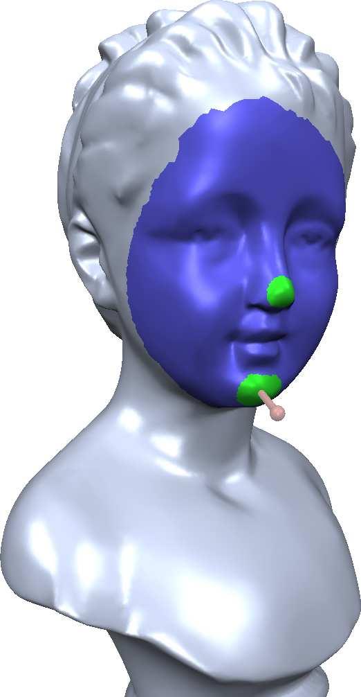 10 Fig. 5. Multiresolution space deformation - from left to right: (a) The user paints a deformable region (blue) two hle regions (green) on the bust model.