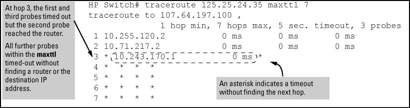 Executing traceroute where the route becomes blocked or otherwise fails results in an output marked by timeouts for all probes beyond the last detected hop.