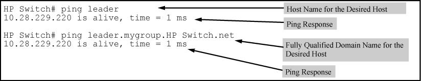 DNS name "leader" (assigned by a DNS server to an IP address used in that domain), the operator can use either of the following commands: Figure 73: Example: of using either a host name or a fully