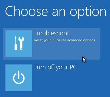 Once you chose your keyboard layout, on the Choose an option screen, select Troubleshoot.