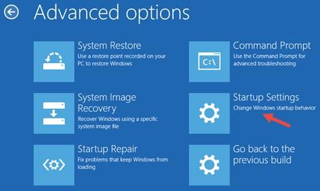 On the Advanced options screen, choose Startup