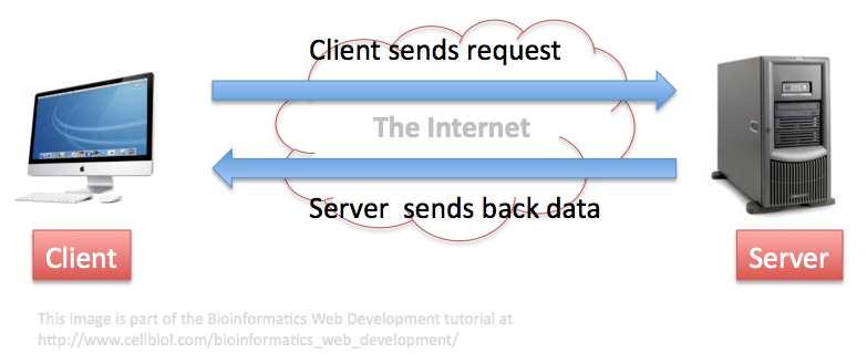 Server-Client vs. Peer-to-Peer Server: hosts data and other forms of resources. Client: contact the server and request to use data or share its other resources with it. http://study.