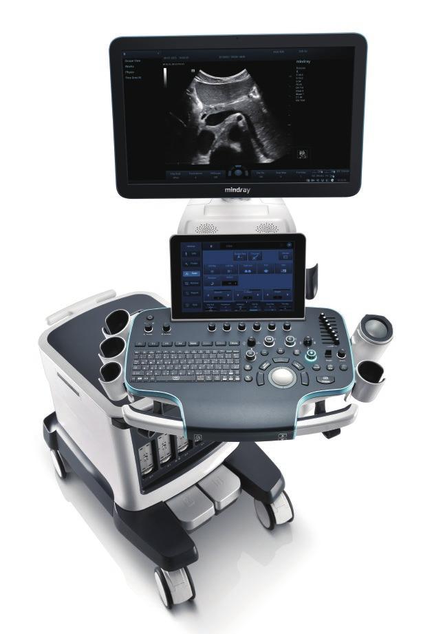 Transforming ultrasound metrics from conventional