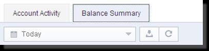 51 Balance Summary Tab Operating Accounts Details screen > select Account > Balance Summary Tab. The Balance Summary tab lists the daily balance summary for an account.