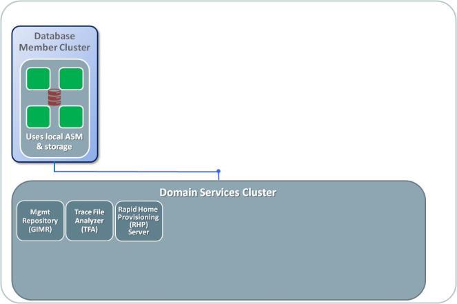 (in ASM or otherwise). This enables the use of smaller servers for supporting application-only clusters.