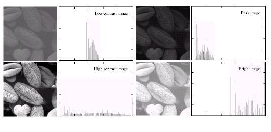 Histogram : Example A selection of images and their Histograms Note that the high contrast image has the most evenly