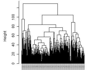 Figure 2: Dendrogram showing the clusters of