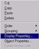 2. Place the cursor over the empty video control window, and click right. A popup menu appears: 3. As an option, if you want to assign a name to the new video control, select Display Properties.